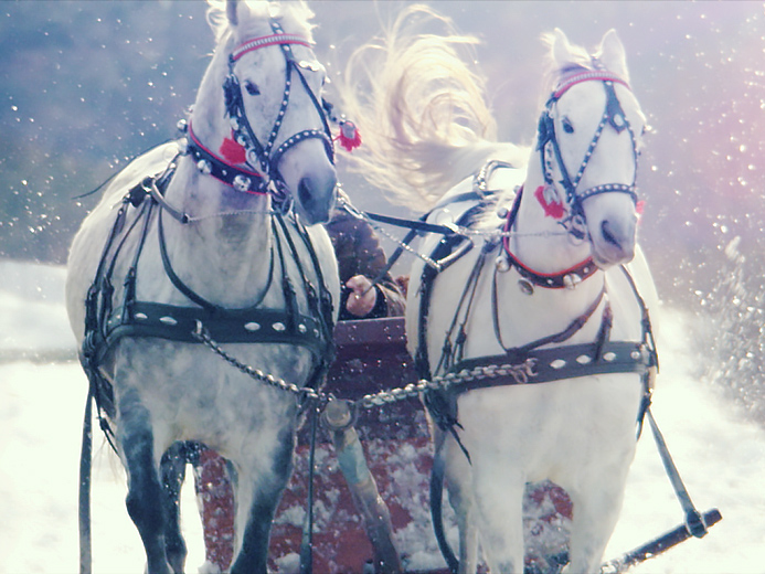 spot reklamowy Lubelskie zima